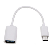 Adapteris USB-C uz USB 2.0 balts ar vadu